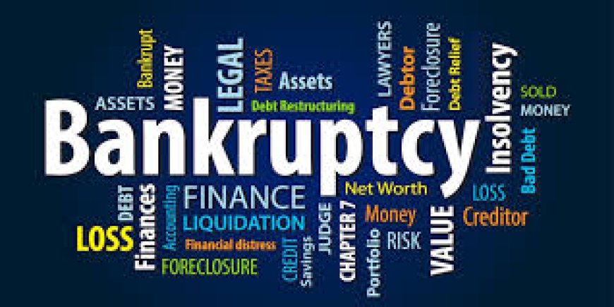 Managing Bankruptcy in Business: A Comprehensive Guide