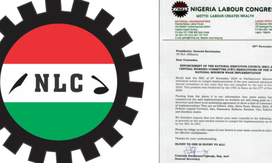 Another Strike Action Looms as 12 States, FCT, Fails to Implement New Minimum Wage