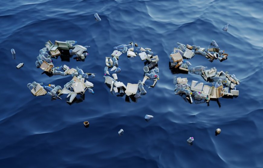 Fighting Plastic Pollution: How Individuals, Businesses, and Science Can Save Our Oceans